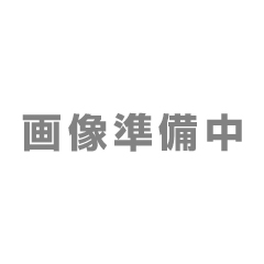PCGX-P10MK4の商品画像